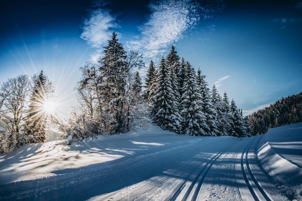 Four Peaks Apartment Flachau Buitenkant foto