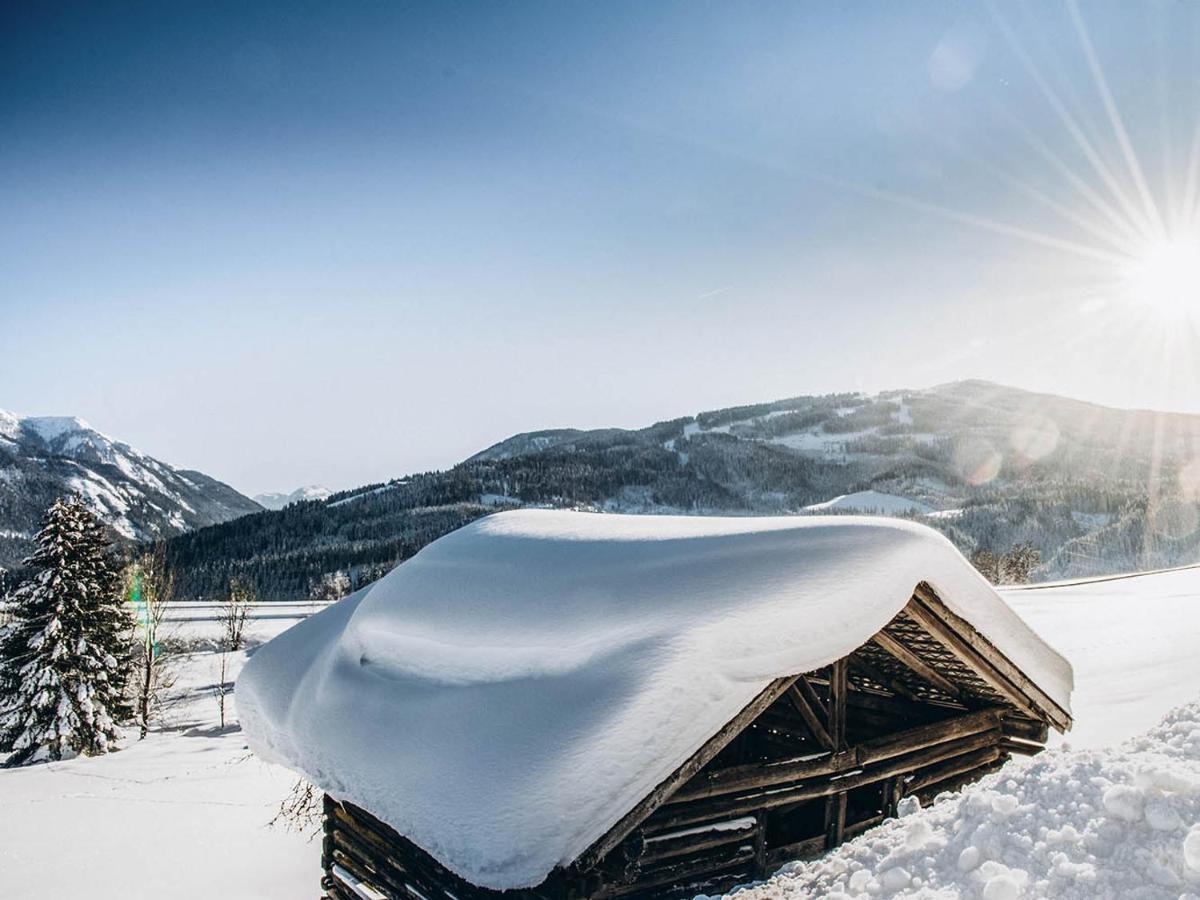 Four Peaks Apartment Flachau Buitenkant foto